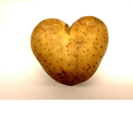 PotatoCentral