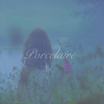 Porcelairee