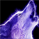 my YT fan group check me out