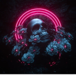 Skull Raider yt