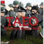 I TAEO I Turkish Armed Forces