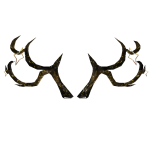 Ancient Antlers of The Ascended