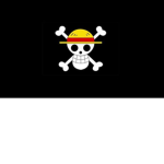 Strawhat Pirate 1213