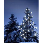 Winter's W0NDERLAND