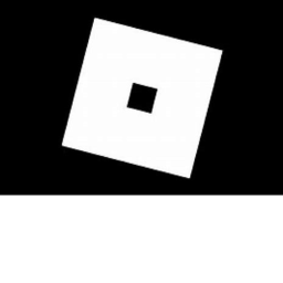THE ROBLOX FAN GROUP GAME