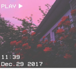Aesthetic Sunset Speakers