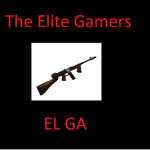 The Elite Gamer
