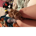 Claire’s zoo