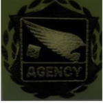 *The Agency*