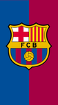 Messi‘s Fútbol Club Barcelona