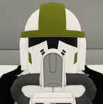 || 345th Steel Rain Battalion || (437th)
