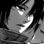 Mikasa fans