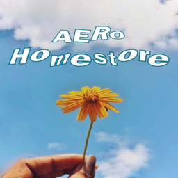 Aero ୨୧ Homestore