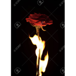 Red/black fire