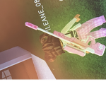 money-money_money