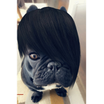 emo ralphie