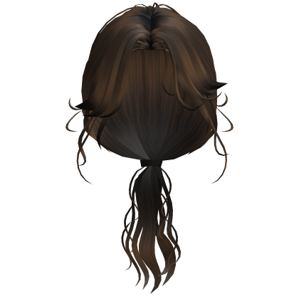 Brown Low Ponytail