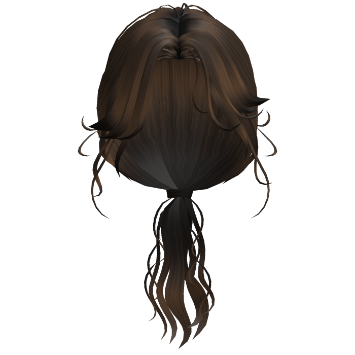 Brown Low Ponytail