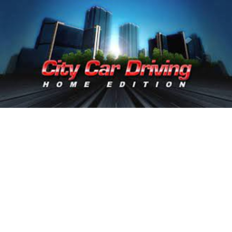 City car driving
