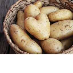 POTATO WORLD!!!