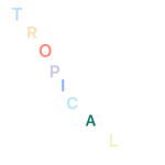 tropical sun!