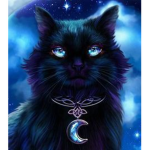 CatGalaxy