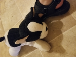Stuffies and Plushies