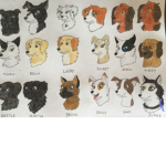 + survivors dogs rp +