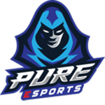 Pure esports