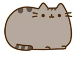 The Caty