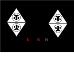 silent bladed ninjas