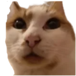 Awsam Peples