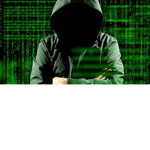Frog hackers