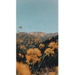 Evadivas