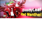 Greedy Guyz Club