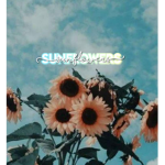 Sunflowers Shop!