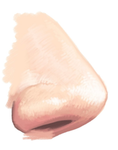 Super nose god's