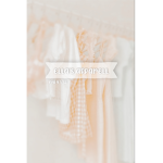 αηցєℓѕ