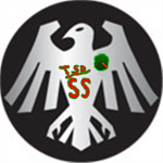 The Shadow Raven: Secret Service