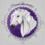 PURPLE SKY STABLES