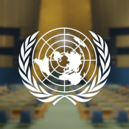 Alex's United Nations Headquarters