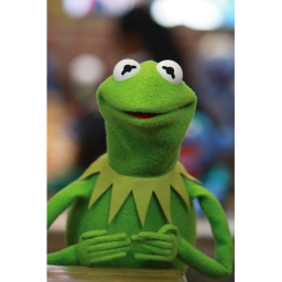 kermit world