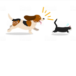 PUPIES UNITED