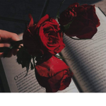 roses mandem