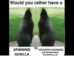 Anti-Clockwise Spinning Gorilla