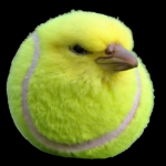 cool chaotic games