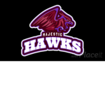 MH I Majestic Hawk