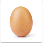 The Egg-cellent Kingdom