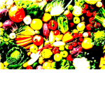 - + SUPER SECRET VEGETABLE SOCIETY+ -