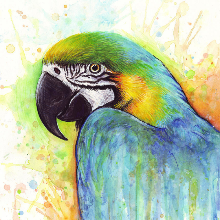 parrot_painting Roblox decal